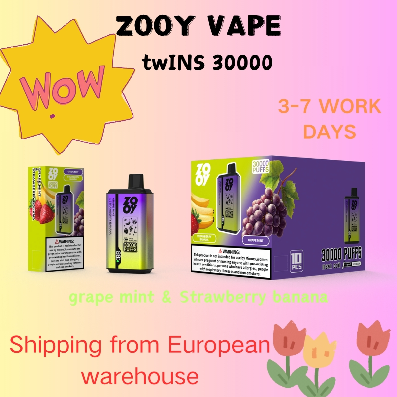 Wholesale Disposable Zooy 30000 Puffs Nederland Vape Pro DUAL