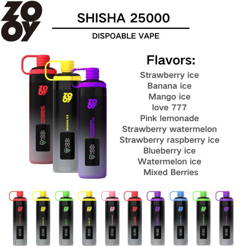 Zooy Bar 2 Puffs Nederland SHISHA Disposable Vape Pro Pen
