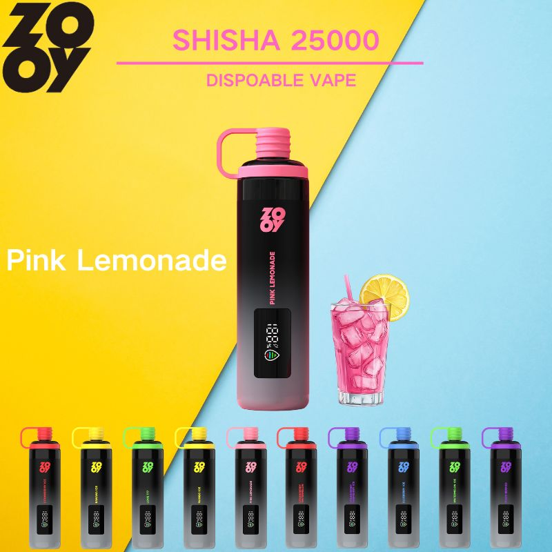 Zooy Bar 2 Puffs Nederland SHISHA Disposable Vape Pro Pen