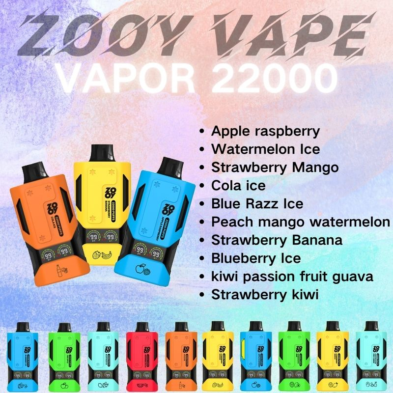 Wholesale Zooy Bar 22000 Puffs Nederland Disposable Vape Pro