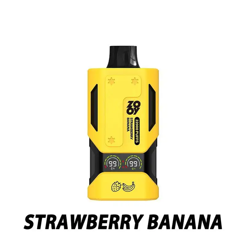 Zooy 22000 Puffs VAPOR Vapes